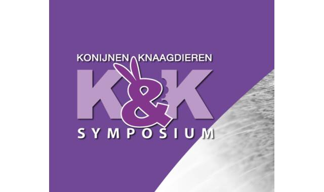 K&K Symposium